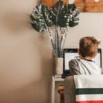 aldi laptops & computers budgetflop of slimme koop (medion)